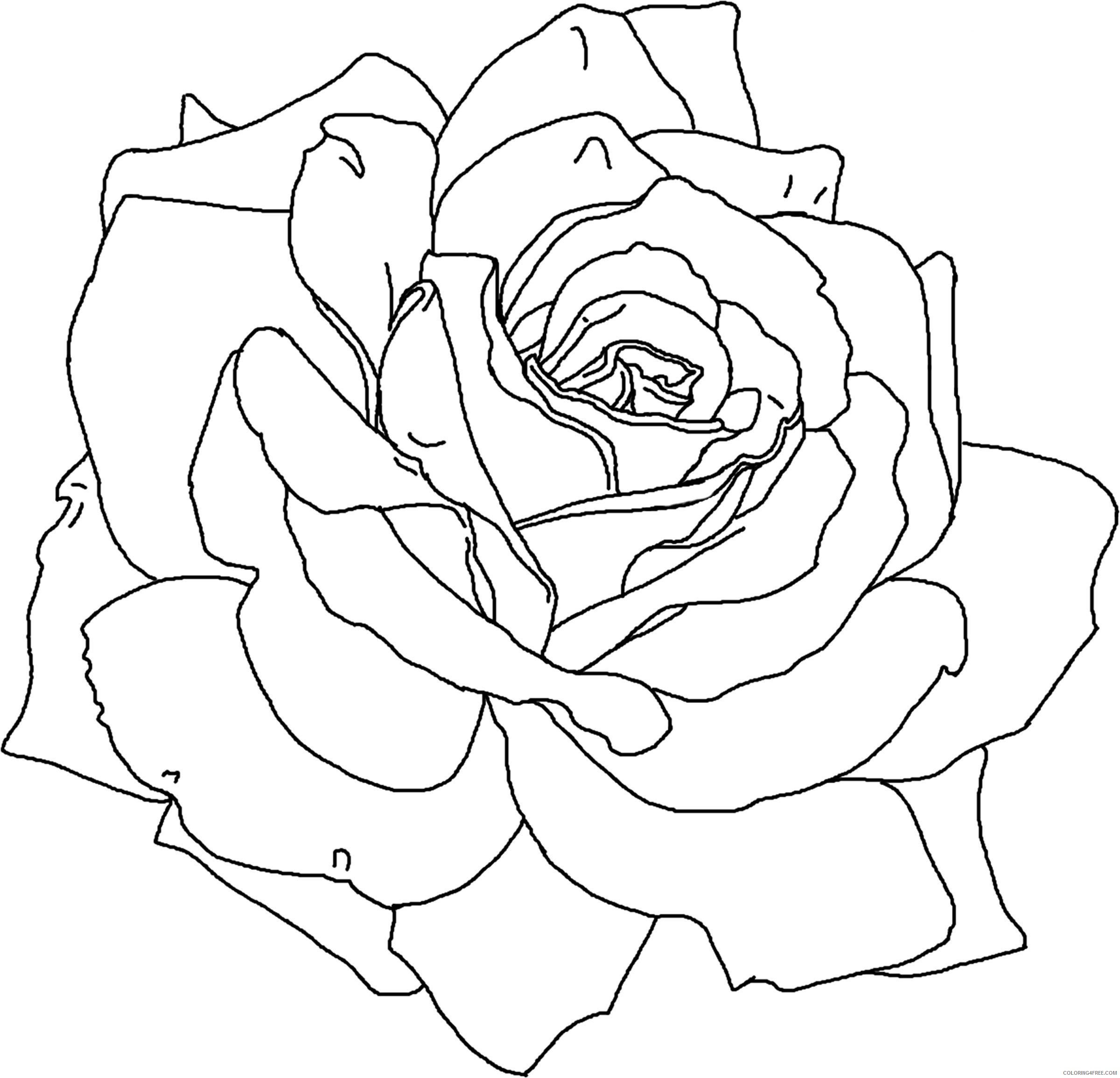 rose flower petals coloring pages Coloring4free