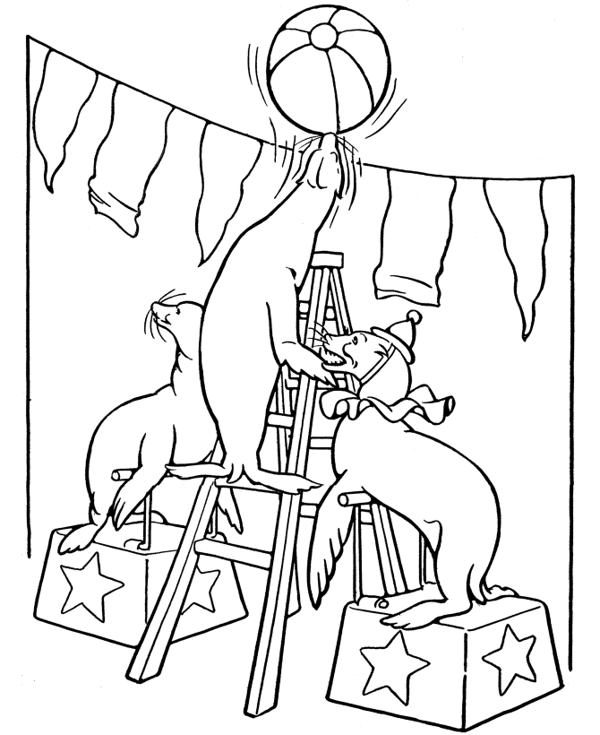 sea lions circus coloring pages Coloring4free