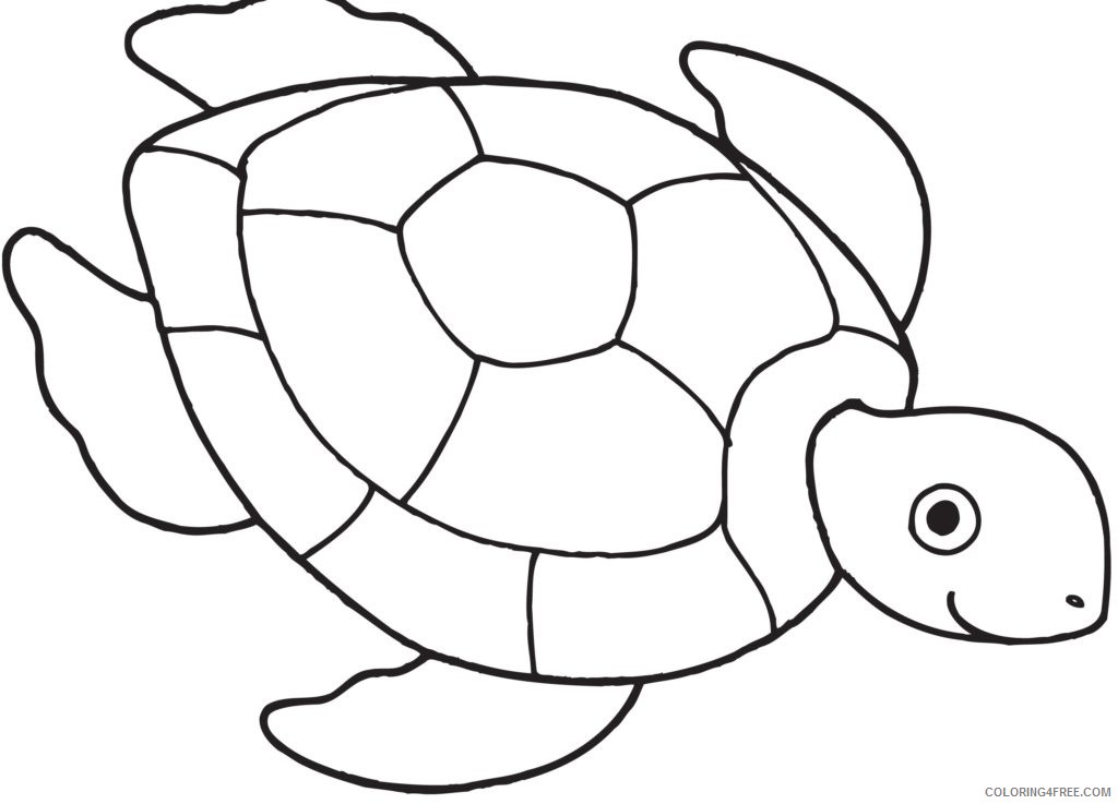 sea turtle coloring pages Coloring4free