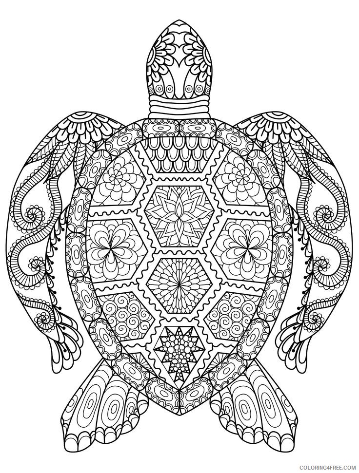 sea turtle coloring pages for adults Coloring4free