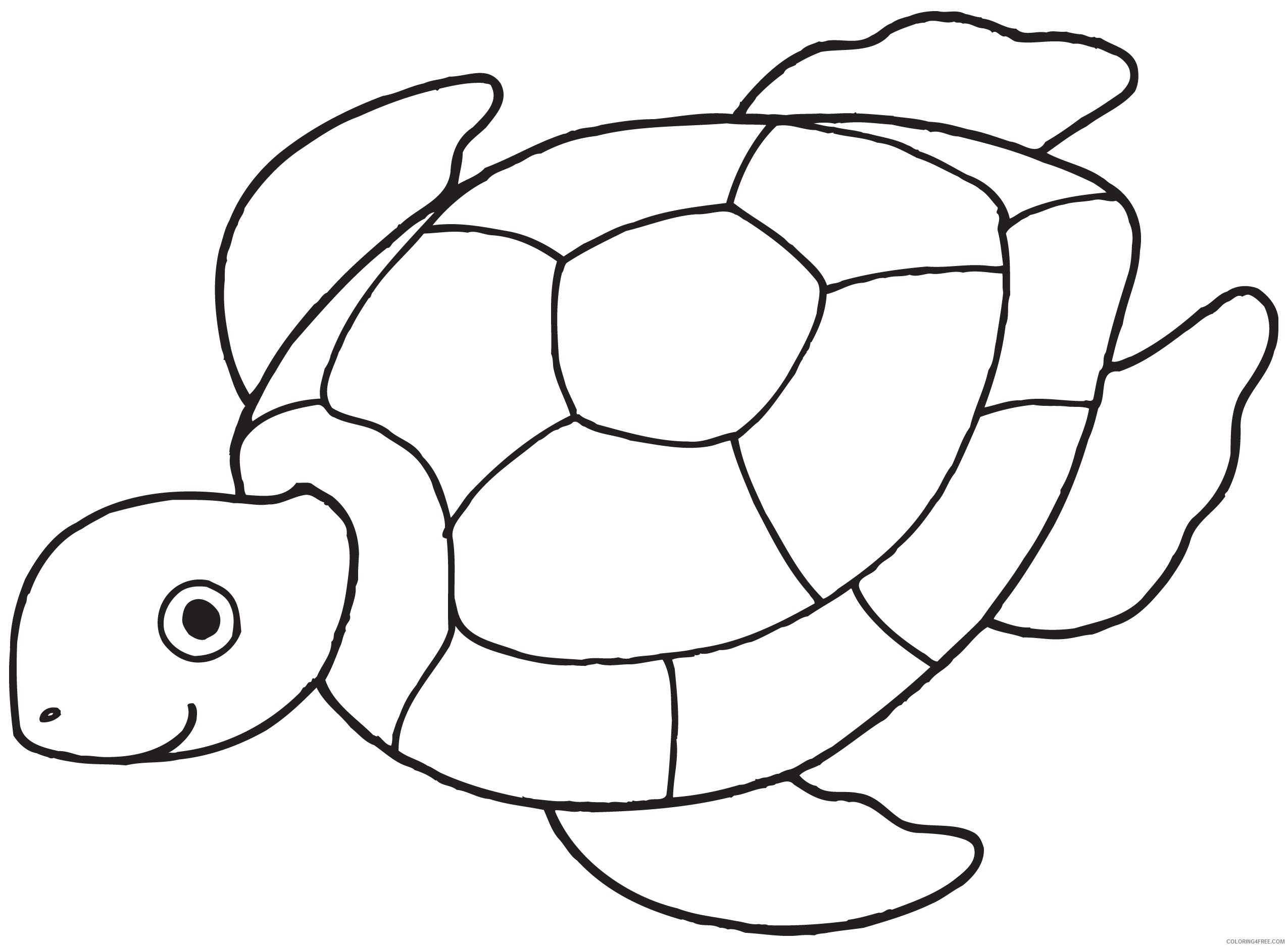 sea turtle coloring pages for preschooler Coloring4free