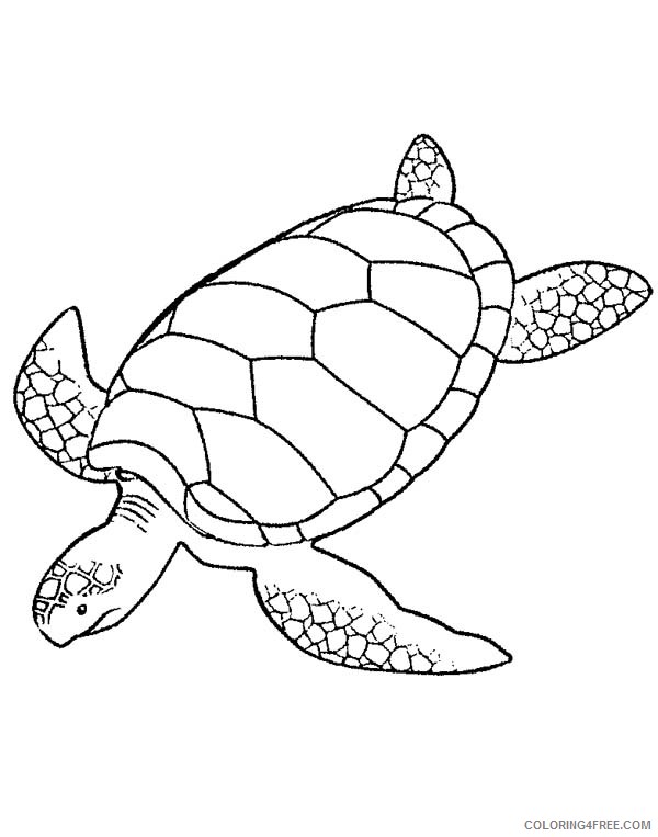 sea turtle coloring pages printable Coloring4free