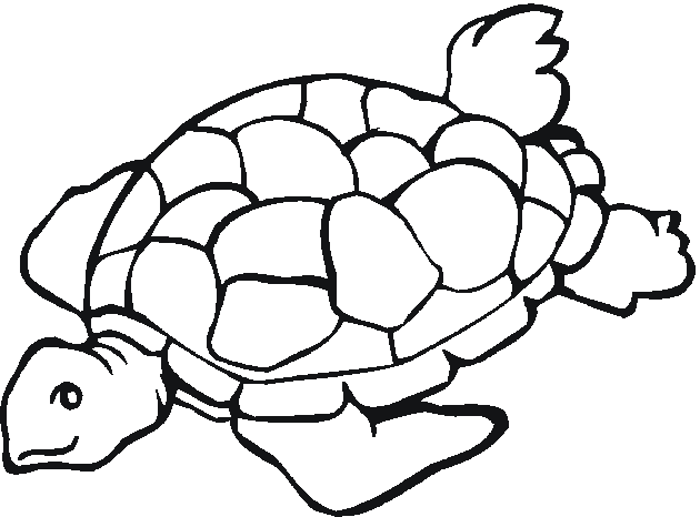 sea turtle coloring pages to print Coloring4free