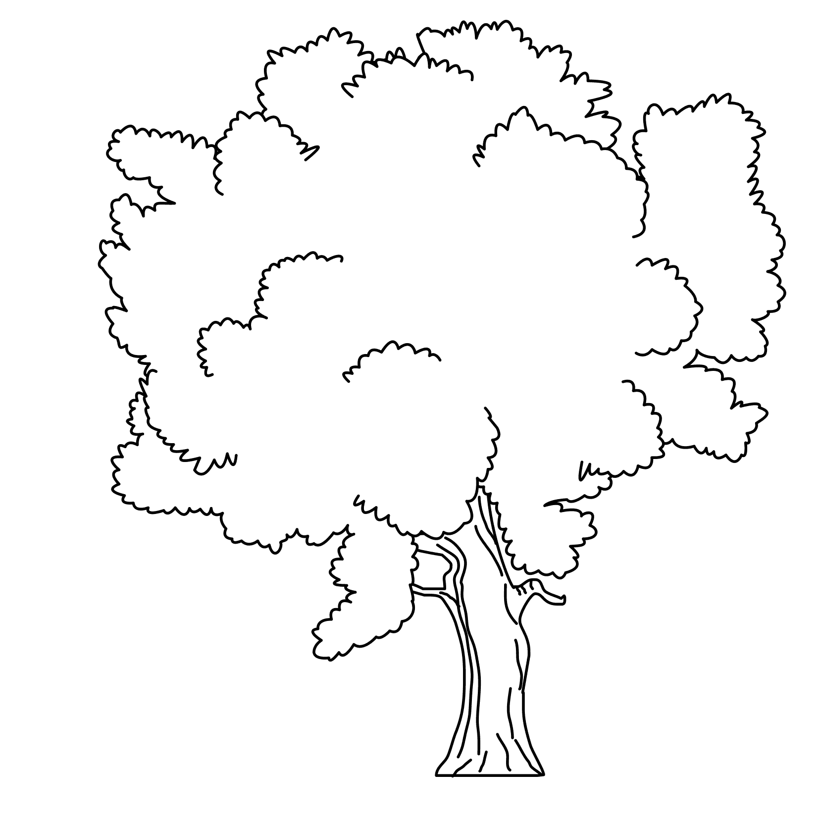 shady tree coloring pages Coloring4free