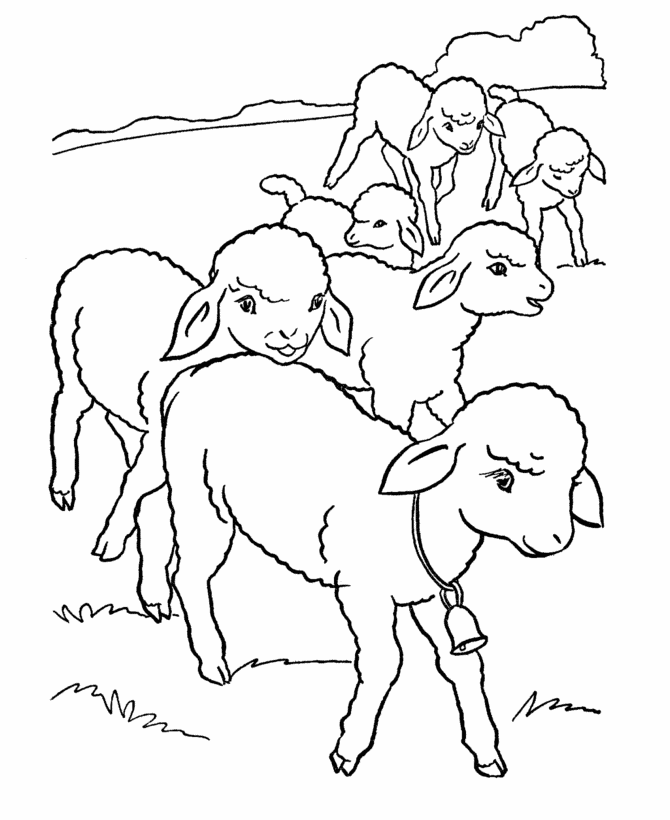 sheep coloring pages in grassland Coloring4free