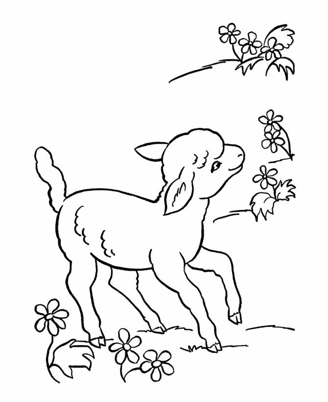 sheep coloring pages with flowers Coloring4free