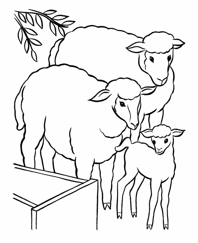 sheep family coloring pages Coloring4free