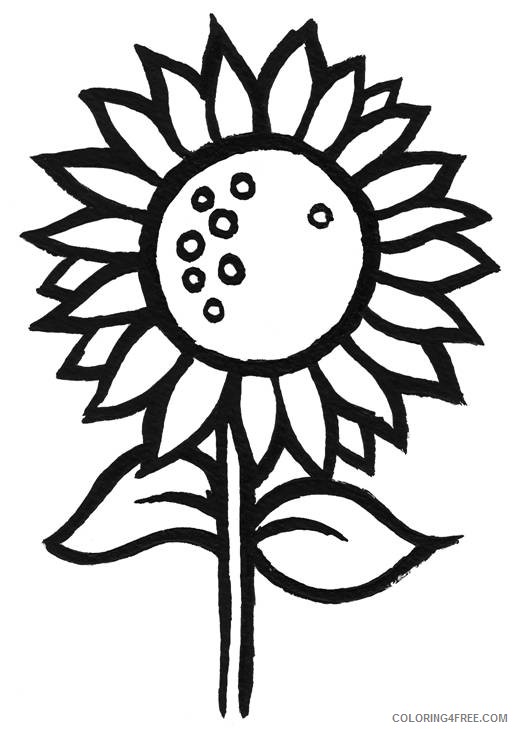 simple sunflower coloring pages Coloring4free