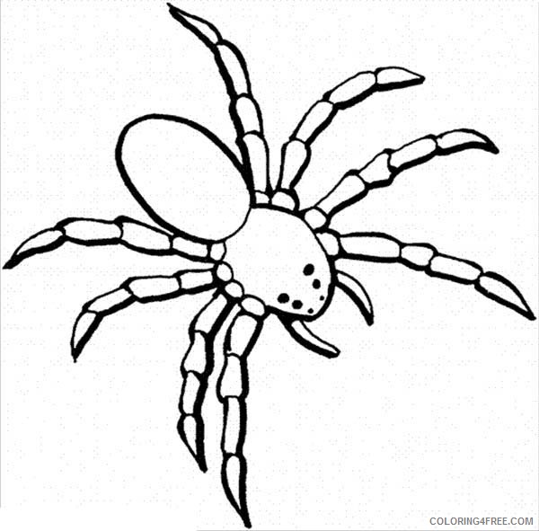 spider coloring pages for kids Coloring4free