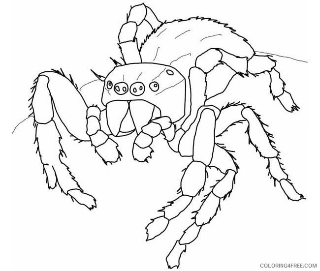 spider coloring pages for kids printable Coloring4free