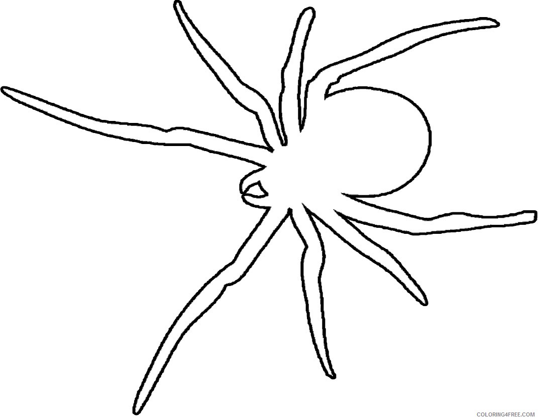 spider coloring pages free to print Coloring4free