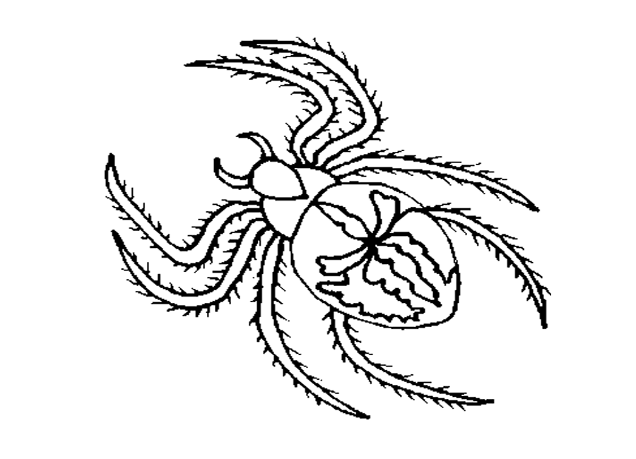 spider coloring pages to print Coloring4free