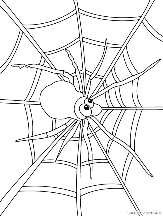 spider on web coloring pages Coloring4free