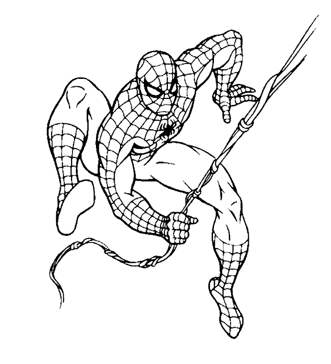 spiderman coloring pages hanging from web Coloring4free