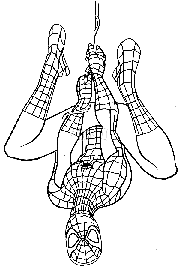 spiderman coloring pages hanging upside down Coloring4free