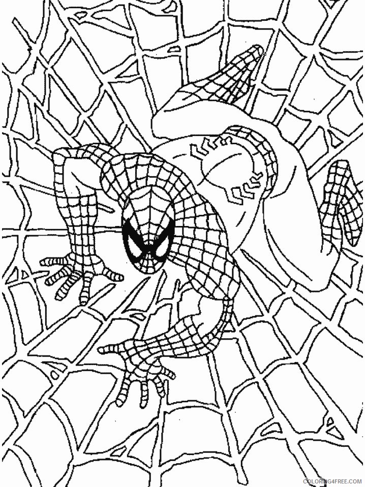 spiderman coloring pages on web Coloring4free