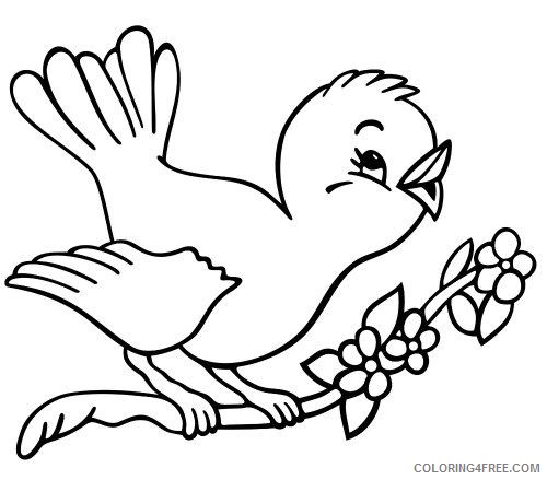 spring coloring pages bird on branch Coloring4free
