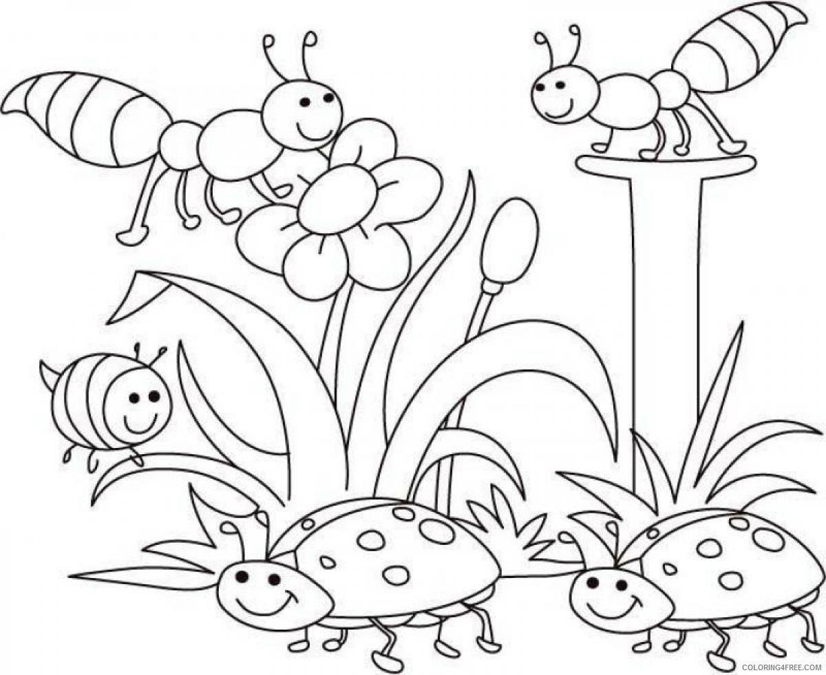 spring coloring pages spring bugs Coloring4free