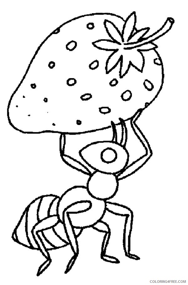 strawberry coloring pages with ant Coloring4free