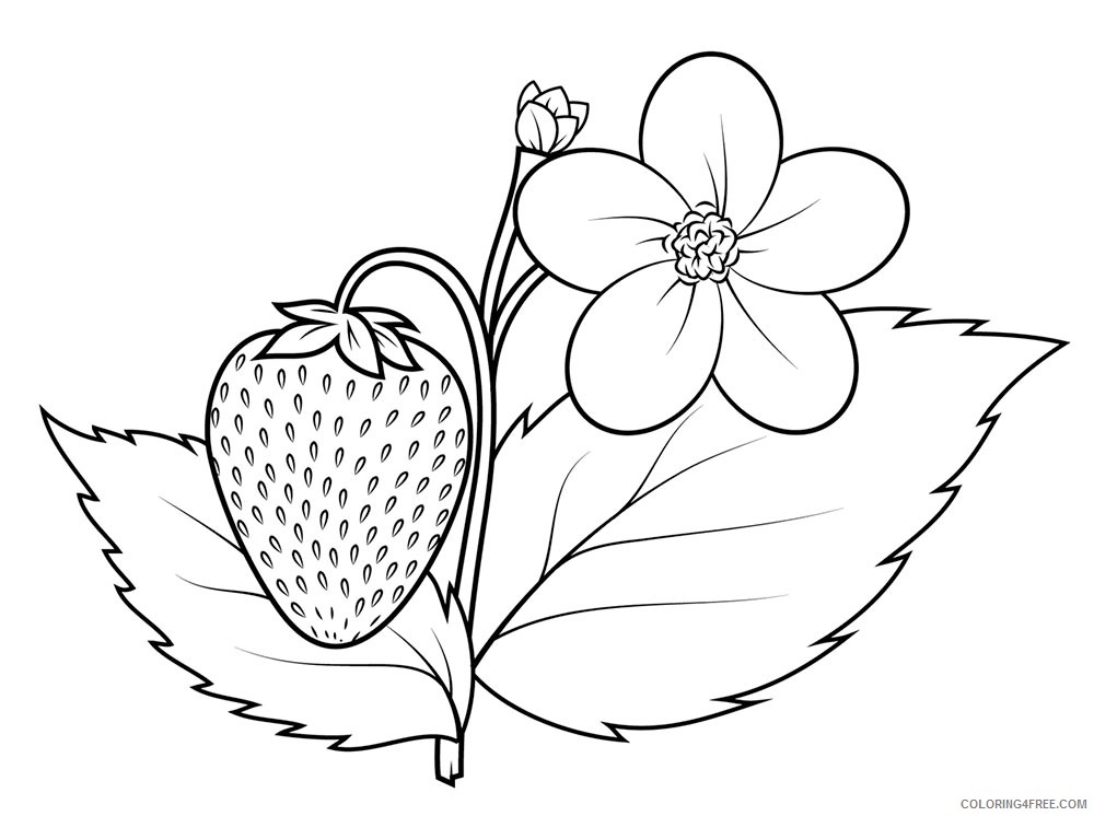 strawberry coloring pages with flower Coloring4free