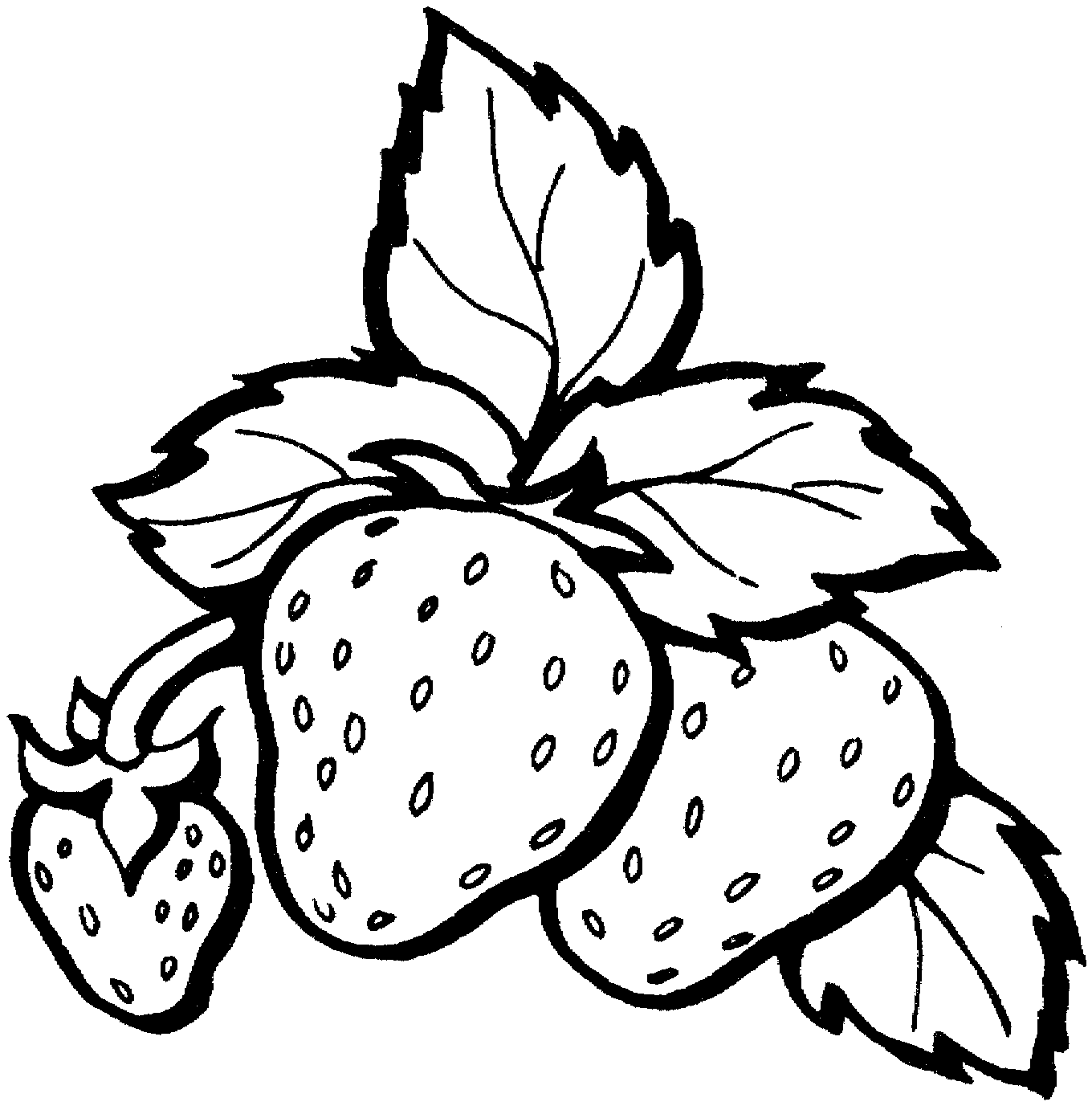 strawberry coloring pages with leaves Coloring4free