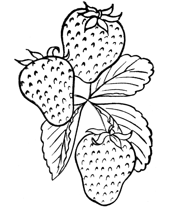 strawberry fruit coloring pages Coloring4free