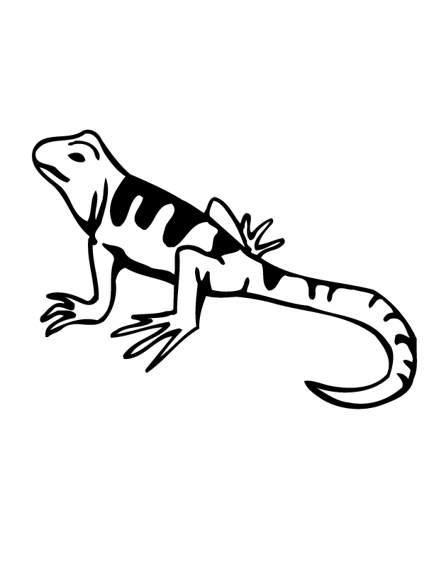 striped lizard coloring pages Coloring4free