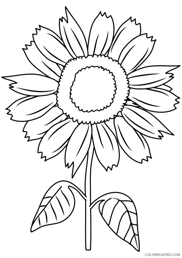 sunflower coloring pages for kids printable Coloring4free
