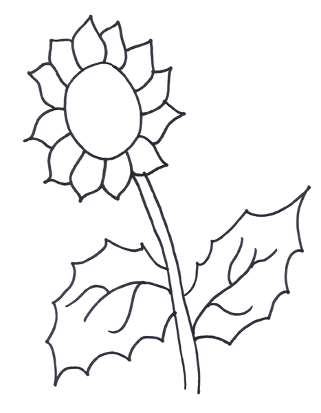 sunflower coloring pages for preschooler Coloring4free