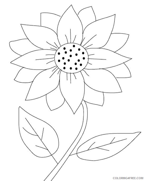 sunflower coloring pages printable Coloring4free