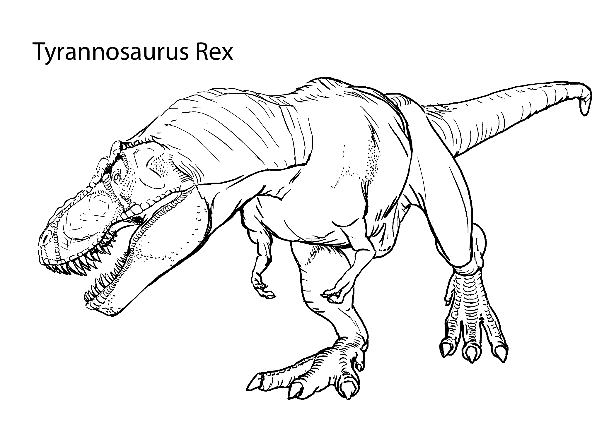 t rex coloring pages tyrannosaurus rex Coloring4free
