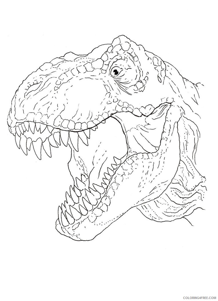 t rex head coloring pages Coloring4free