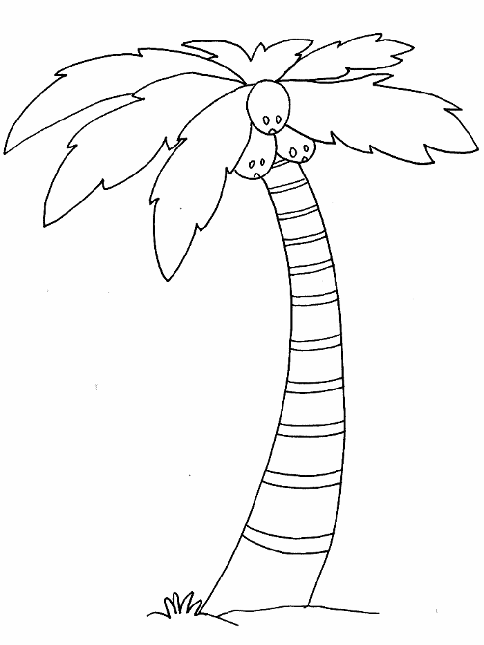 tree coloring pages coconut tree Coloring4free