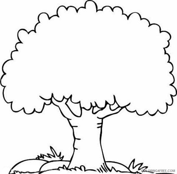 tree coloring pages for kids Coloring4free