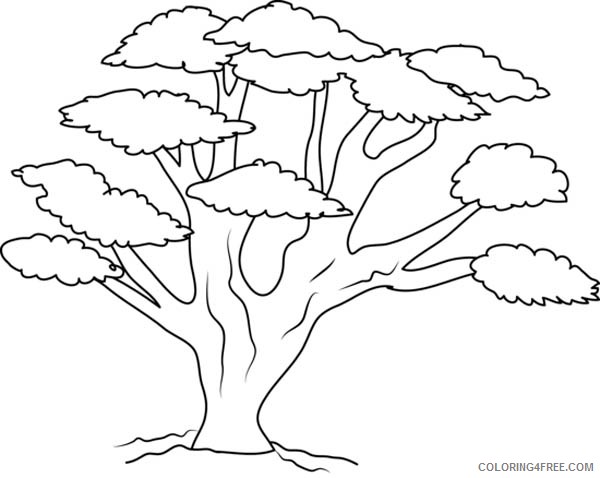 tree coloring pages for kindergarten Coloring4free