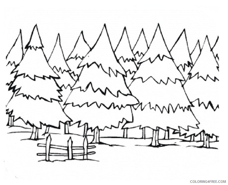 tree coloring pages pine trees Coloring4free