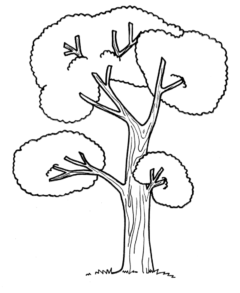 tree coloring pages printable free Coloring4free