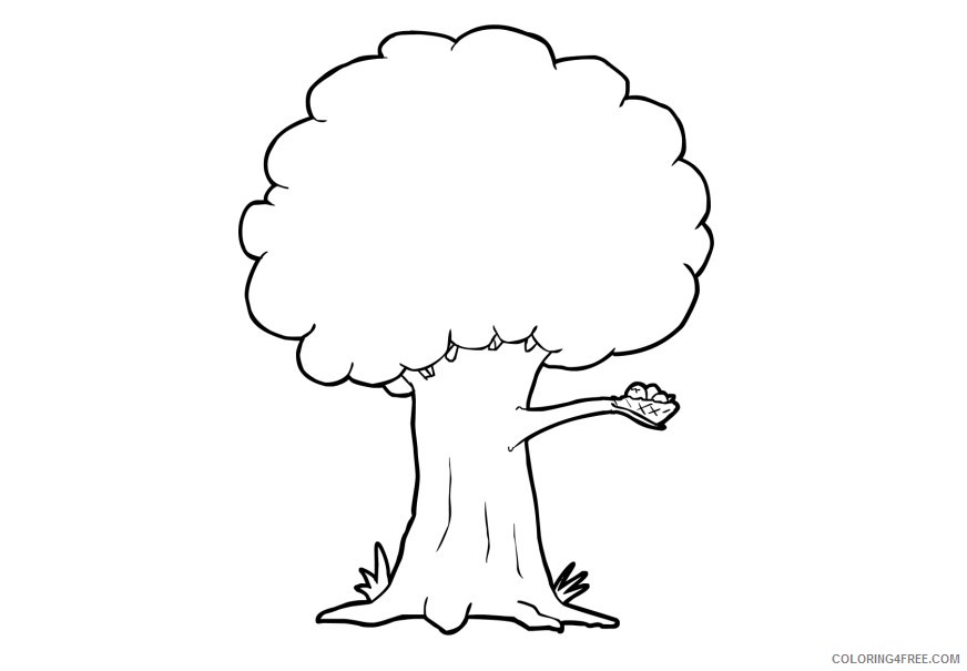 tree coloring pages with bird nest Coloring4free