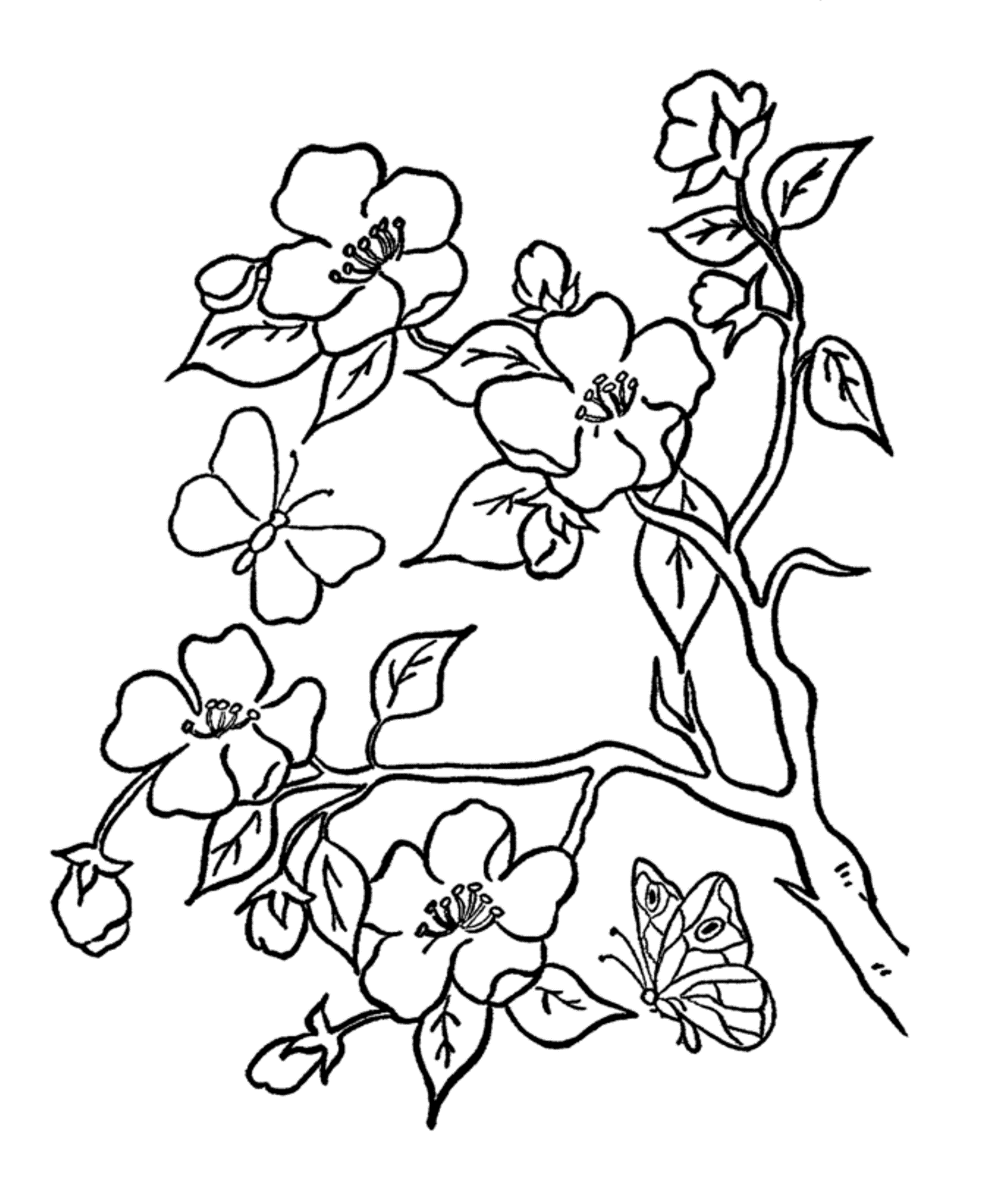 tree flower coloring pages with butterflies Coloring4free