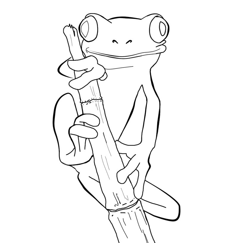 tree frog coloring pages Coloring4free