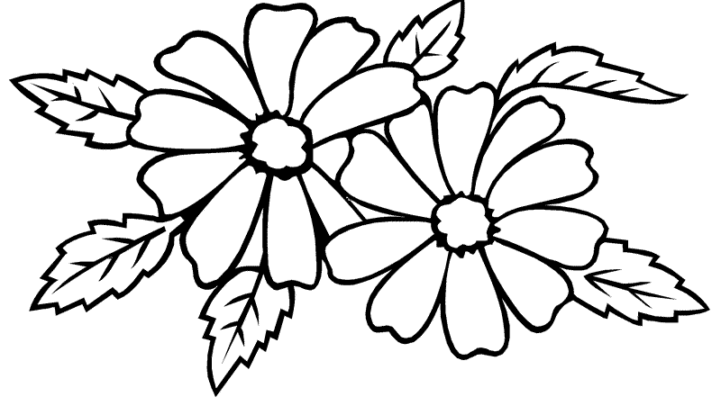 tropical flower coloring pages to print Coloring4free