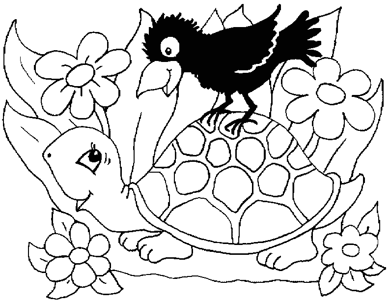 turtle coloring pages for girls Coloring4free