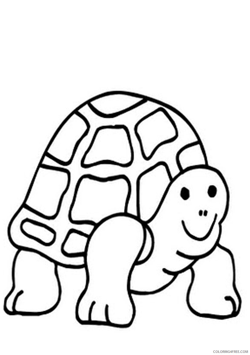 turtle coloring pages for kindergarten Coloring4free