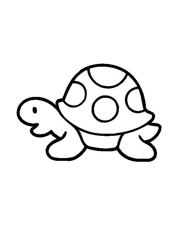 turtle coloring pages for preschooler Coloring4free