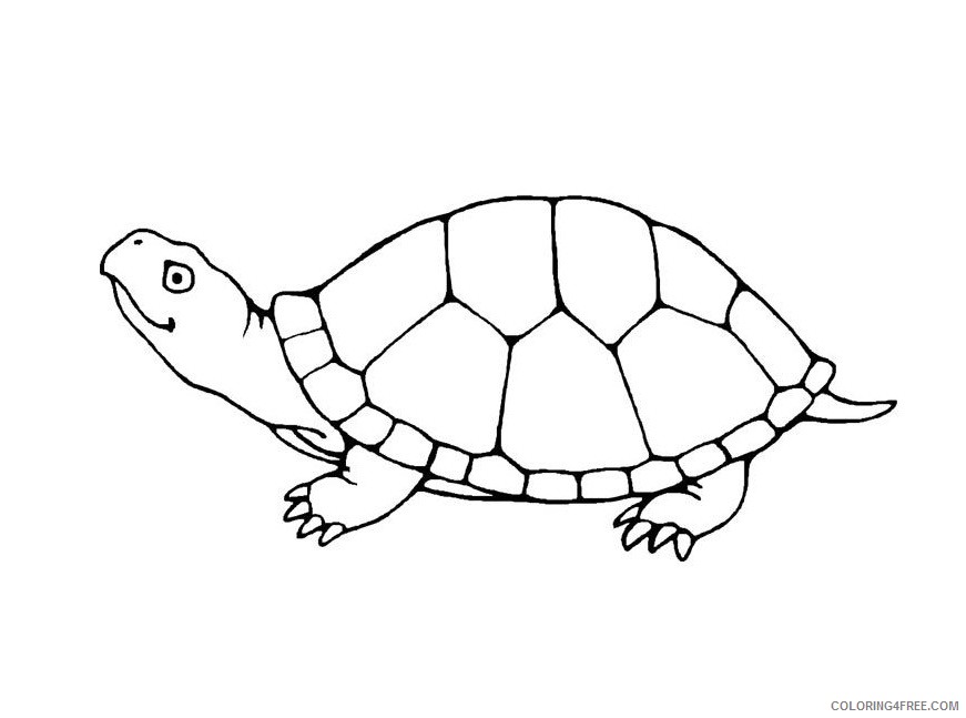 turtle coloring pages printable Coloring4free
