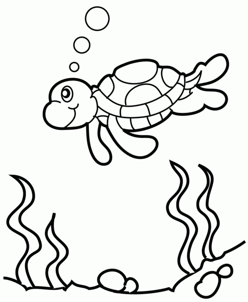 turtle coloring pages swimming underwater Coloring4free