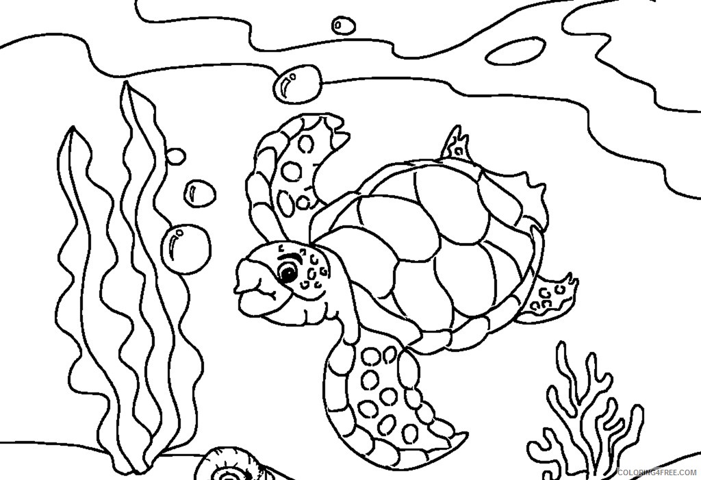 turtle coloring pages underwater Coloring4free