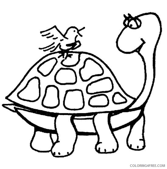 turtle coloring pages with bird Coloring4free