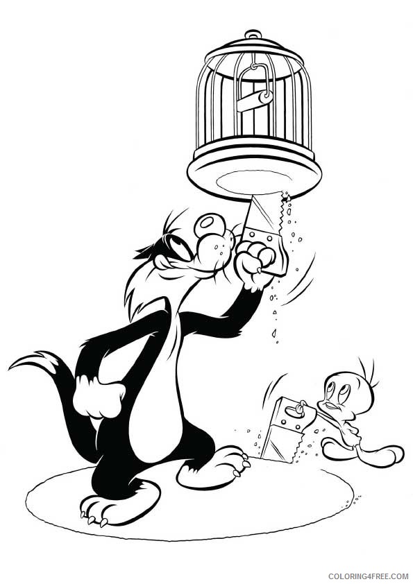 tweety bird coloring pages and sylvester Coloring4free