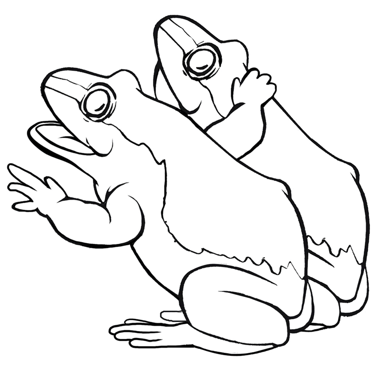 twin frog coloring pages Coloring4free